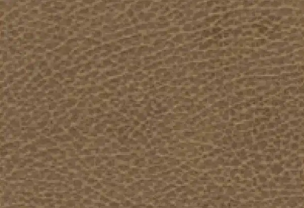Bronze Opt