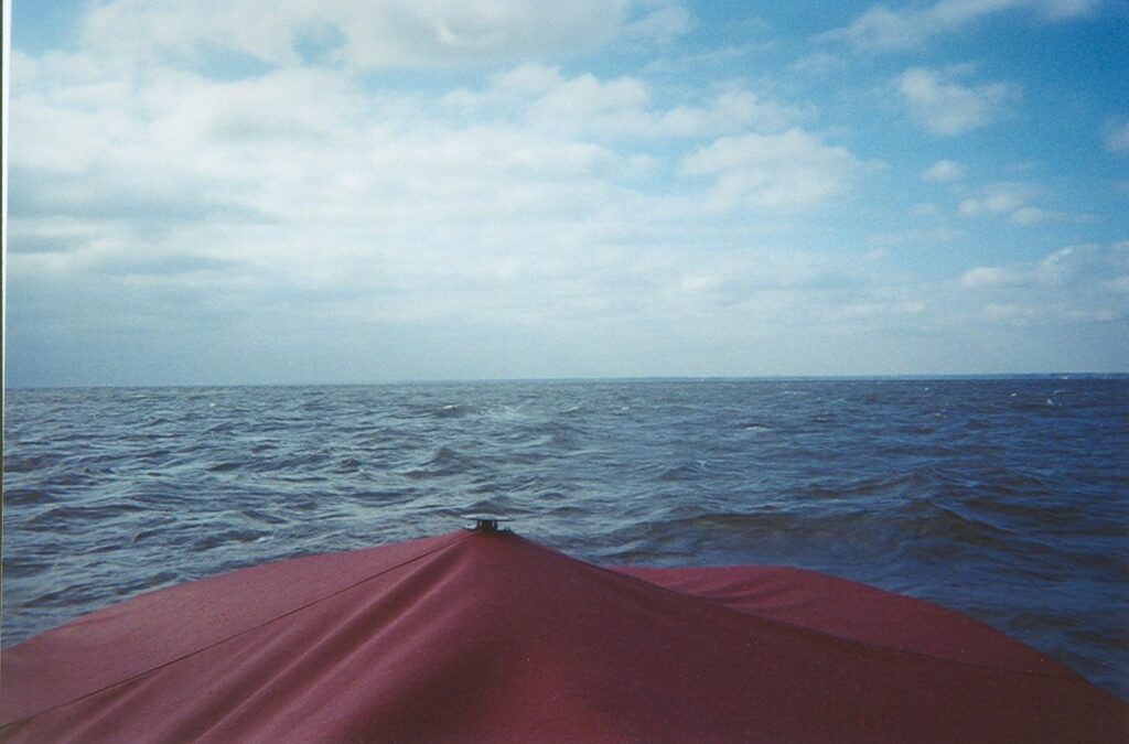 View from the bow of a boat with a red canopy on a vast, calm ocean under a partly cloudy sky. The horizon is visible in the distance, meeting the blue sky and water.
