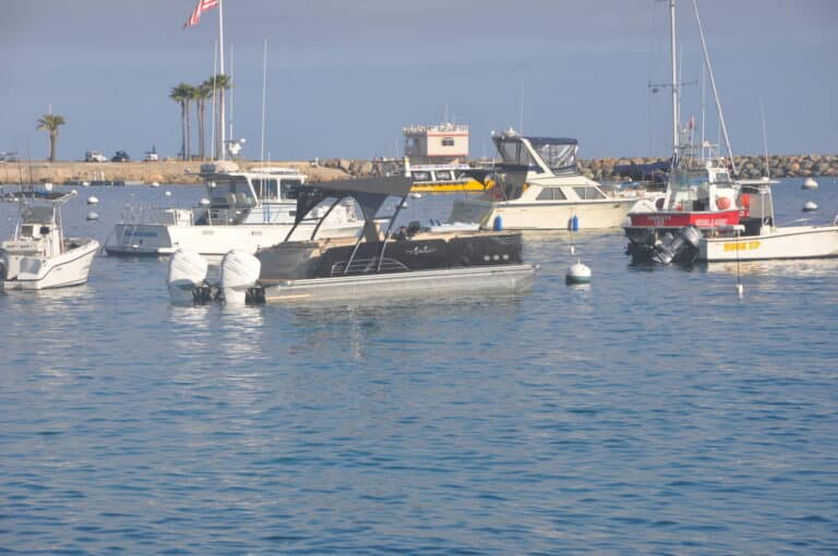 A small marina with several boats anchored in calm waters. The sky is overcast, and some palm trees can be seen in the background near the dock. One boat prominently displays two mounted engines, and a rock breakwater is visible on the horizon.