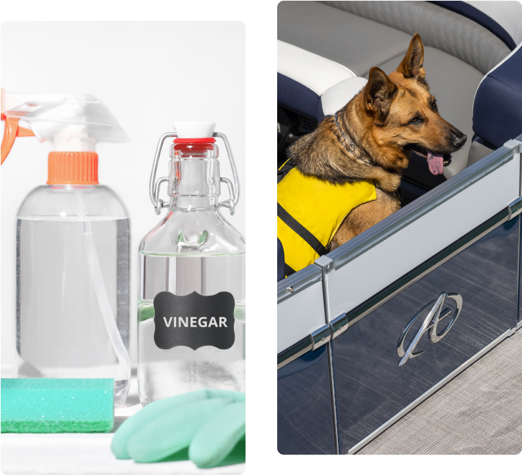 Left: A set of cleaning supplies, including spray bottles, a jar labeled "vinegar," a sponge, and green rubber gloves. Right: A dog wearing a yellow life jacket sitting on a boat with aluminum pontoons, looking out over the water.