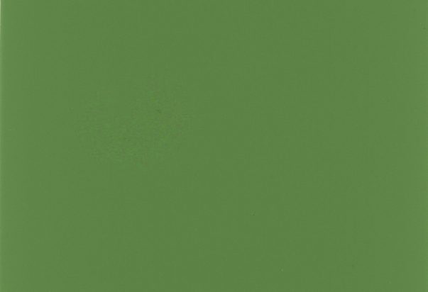 A solid green square with a smooth, even surface and no visible patterns or distinct features.